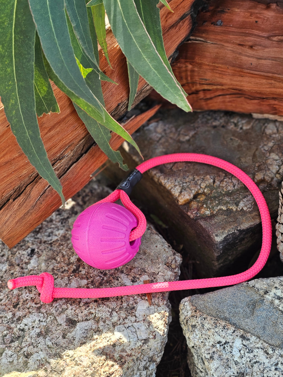 Dura-Foam Ball with Rope Handle by Ruff-Paws!