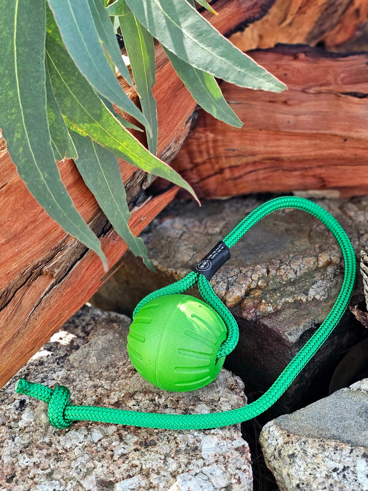 Dura-Foam Ball with Rope Handle by Ruff-Paws!