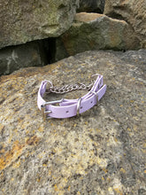 Load image into Gallery viewer, Martingale Collar with Stainless steel hardware and *Herm Sprenger* Chain
