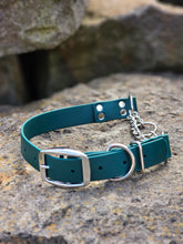 Load image into Gallery viewer, 1 inch Martingale Collar *Herm Sprenger Chain*
